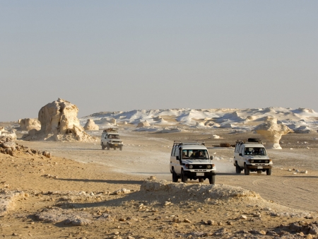 Farafra Oasis